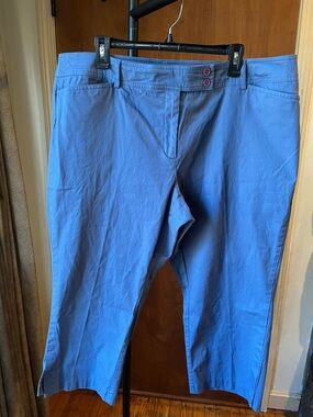 Lane Bryant Blue Cotton Blend Pants